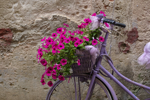 Italien, altes Fahrrad mit Blumen - LBF02170
