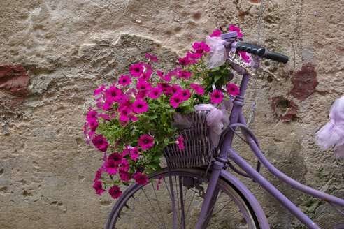 Italy, old bicycle with flowers - LBF02170