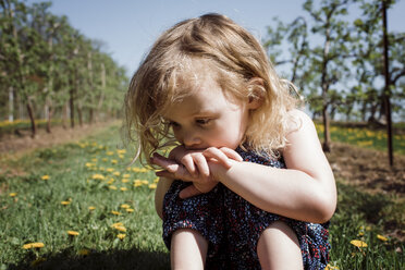 Close-up of cute thoughtful girl sitting on field during sunny day - CAVF53938