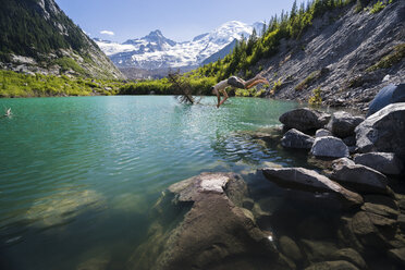 Seitenansicht eines Mannes ohne Hemd beim Tauchen im Fluss im Mount Rainier National Park - CAVF53956