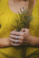 Midsection of woman holding pine needles - CAVF53992