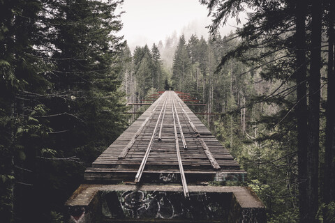 Verlassene Eisenbahnbrücke inmitten von Bäumen im Wald, lizenzfreies Stockfoto