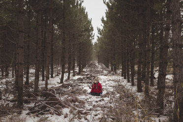 Carefree girl sitting amidst trees at forest during winter - CAVF54047
