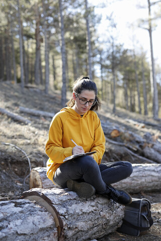 Junge Frau mit gelbem Pullover im Wald, schreibend, lizenzfreies Stockfoto