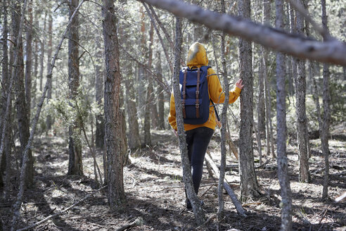 Rückansicht einer jungen Frau mit gelbem Pullover und blauer Tasche im Wald, auf Erkundungstour - GRSF00007