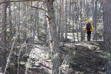 Junge Frau mit gelbem Pullover und blauer Tasche im Wald, auf Entdeckungstour - GRSF00008