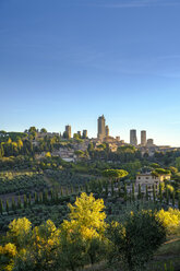 Italien, Toskana, San Gimignano, Stadtansicht mit Geschlechtertürmen im Morgenlicht - LBF02174