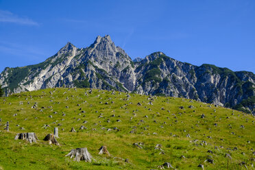 Österreich, Bundesland Salzburg, Pinzgau, Großes Mühlsturzhorn, abgeholzt - LBF02200