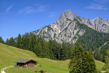 Österreich, Land Salzburg, Pinzgau, Großes Mühlsturzhorn, Litzlalm, Berghütte - LBF02203