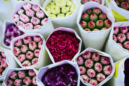 China, Hongkong, Sträuße aus bunten Blumen auf dem Blumenmarkt - GEMF02517