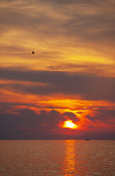 Kroatien, Istrien, Porec, Adriatisches Meer, Segelboot bei Sonnenuntergang - WWF04449