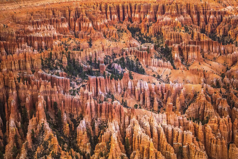 USA, Utah, rock formations at Bryce Canyon National Park - FCF01627