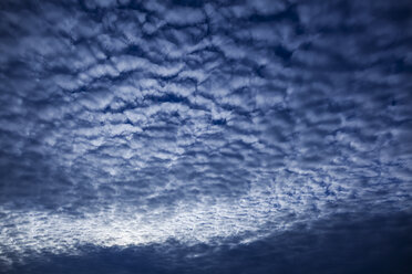 Wolkendecke aus Kumuluswolken - TCF05965