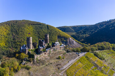 Deutschland, Rheinland-Pfalz, Mayen-Koblenz, Mosel, Stadt Alken, Burg Thurant, Weinberg - AM06203