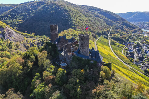 Deutschland, Rheinland-Pfalz, Mayen-Koblenz, Mosel, Stadt Alken, Burg Thurant, Weinberge - AM06205