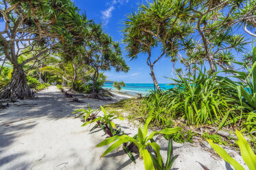 Vanuatu, Mystery Island, beach, south pacific - THAF02332