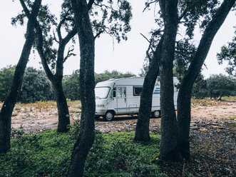 Großer Wohnwagen und Bäume im Wald. - OCMF00106