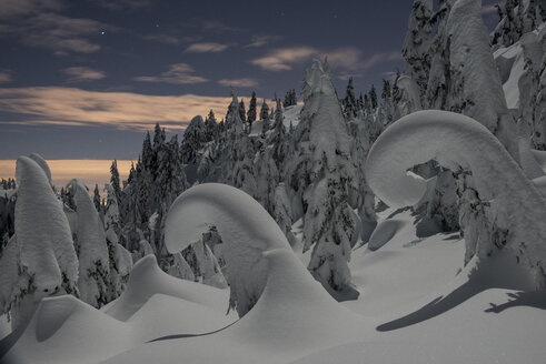 Landschaftliche Ansicht von schneebedeckten Bäumen gegen den Himmel bei Sonnenuntergang - CAVF54241
