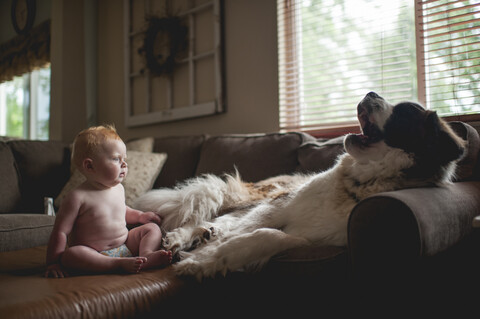 Überraschtes Baby Junge Blick auf Hund gähnend auf Sofa, lizenzfreies Stockfoto
