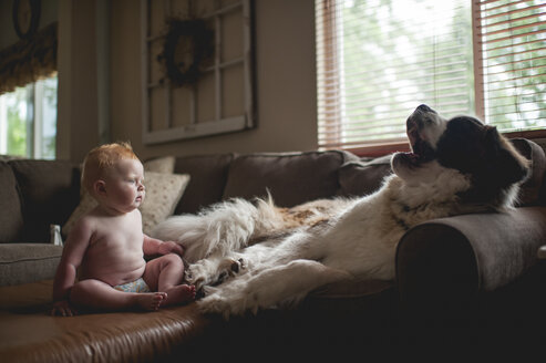 Überraschtes Baby Junge Blick auf Hund gähnend auf Sofa - CAVF54279