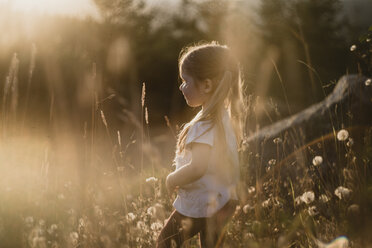 Unbekümmertes Mädchen, das an einem sonnigen Tag inmitten eines Löwenzahnfeldes spazieren geht - CAVF54325