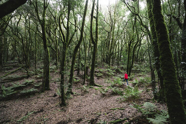 Female hiker amidst trees in forest at Garajonay National Park - CAVF54332