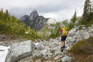 Rückansicht eines Wanderers mit Rucksack beim Wandern gegen Berge im Wald - CAVF54366