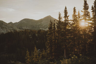 Tranquil view of forest and mountains against sky - CAVF54378