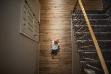 Overhead view of baby boy crawling on hardwood floor at home - CAVF54383