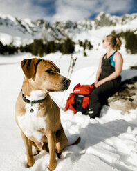 Wanderin und Hund auf verschneitem Feld vor Bergen sitzend - CAVF54391