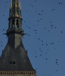 Birds flying by Le Mont Saint-Michel against clear sky during sunset - CAVF54450