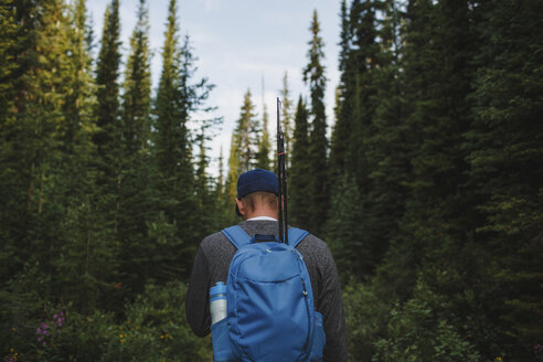 Rückansicht eines Wanderers mit Rucksack, der den Wald erkundet - CAVF54499