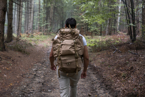 Bulgarien, Balkan-Gebirge, Wanderer mit Rucksack auf Wanderweg, Rückansicht - AFVF01938