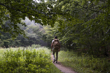 Bulgaria, Balkan Mountains, hiker with backpack on hiking trail, rear view - AFVF01939