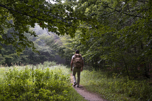 Bulgarien, Balkan-Gebirge, Wanderer mit Rucksack auf Wanderweg, Rückansicht - AFVF01939