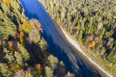 Deutschland, Oberbayern, Fluss Isar, Naturschutzgebiet Isarauen - SIEF08123