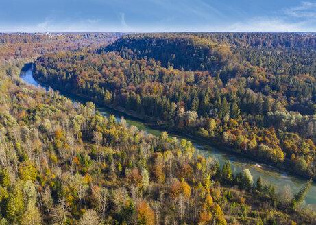 Mühltaler Kanal an der Isar, Isartal zwischen Strasslach-Dingharting und Schaeftlarn, Buchenhain im Hintergrund - SIEF08130