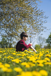 Seitenansicht eines Jungen, der inmitten von gelb blühenden Pflanzen auf einer Wiese im Park sitzt, an einem sonnigen Tag - CAVF54601