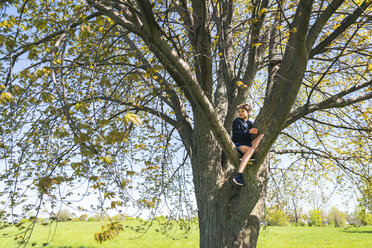 Full length of carefree boy sitting on branches at park - CAVF54602