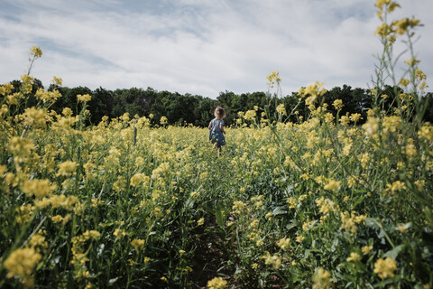 Rückansicht eines Mädchens, das inmitten von Pflanzen gegen den bewölkten Himmel läuft, lizenzfreies Stockfoto