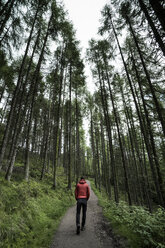 Rear view of man walking on road amidst trees in forest - CAVF54733