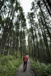 Rückansicht eines Mannes, der auf einer Straße inmitten von Bäumen im Wald geht - CAVF54733