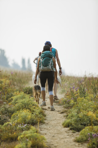 Rückansicht von Freundinnen mit Hunden, die auf einem Feld gegen den Himmel im Wald laufen, lizenzfreies Stockfoto