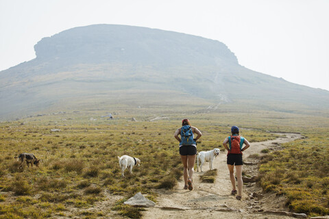 Rückansicht von Wanderinnen mit Hunden, die auf einem Feld gegen einen Berg laufen, lizenzfreies Stockfoto
