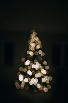 Defocused image of illuminated Christmas tree in darkroom at home - CAVF54897