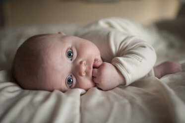 Portrait of cute baby boy with finger in mouth lying on bed - CAVF54902