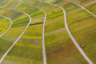 Deutschland, Baden-Württemberg, Luftaufnahme des Korber Kopfes, Weinberge im Herbst - STSF01798