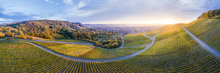 Deutschland, Baden-Württemberg, Luftaufnahme des Korber Kopfes, Weinberge bei Sonnenuntergang im Herbst, Panorama - STSF01801