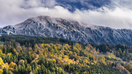 Germany, Bavaria, Oberallgaeu, Gruenten in autumn - STSF01807