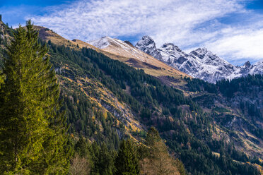 Deutschland, Bayern, Oberallgäu, Allgäuer Alpen, Stillachtal - STSF01809